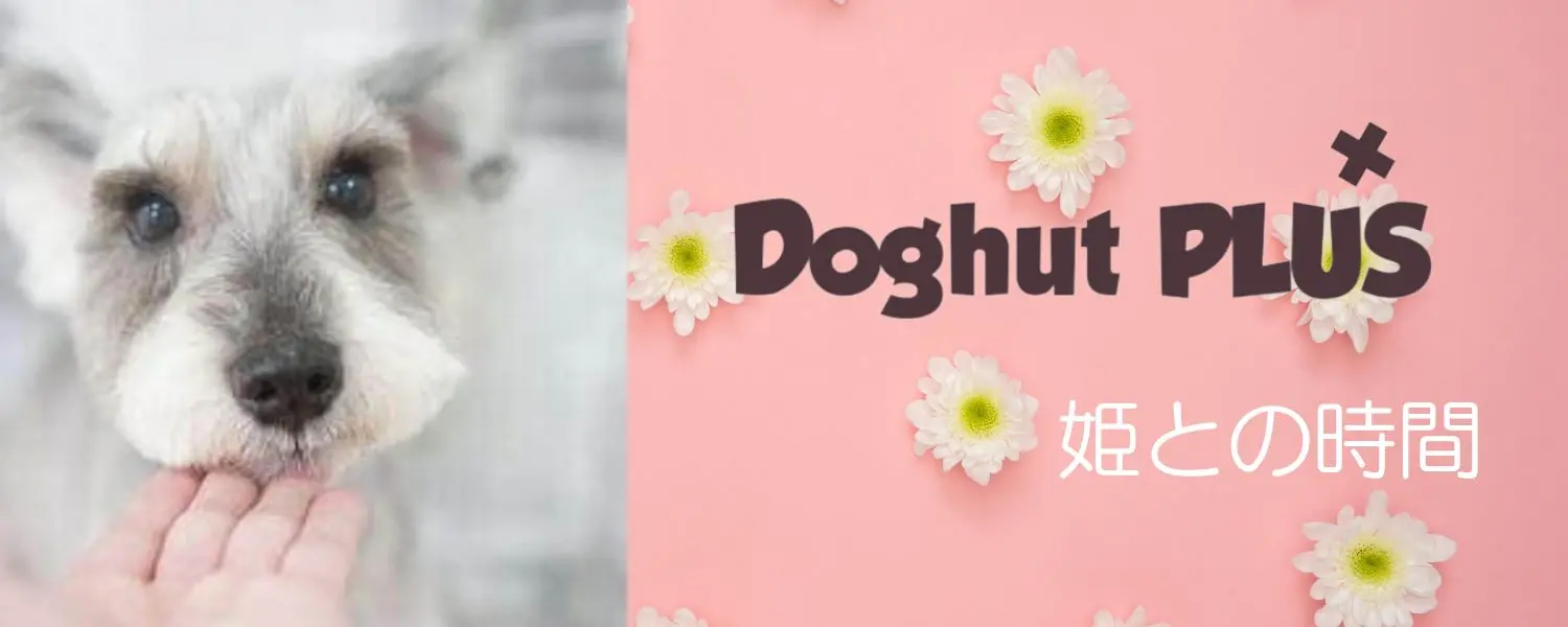 DoghutPLUS+
